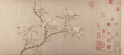 Pear Blossoms by Unbekannt
