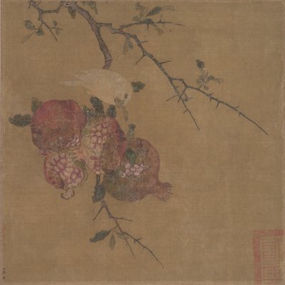 Pomegranates by Unbekannt