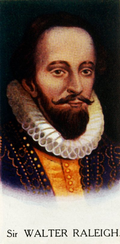 Sir Walter Raleigh by Unbekannt