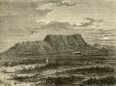 Site of Susa, 1890 by Unbekannt