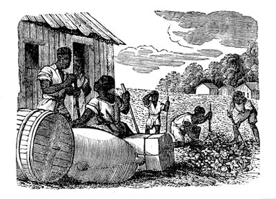 Slaves Working on a Tobacco Plantation, 1833 by Unbekannt
