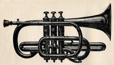 The Cornet by Unbekannt