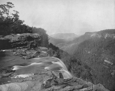 The Fitzroy Falls, 19th Century by Unbekannt