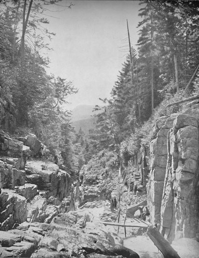 The Flume, Franconia White Mountains, N.H. by Unbekannt