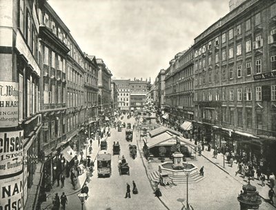 The Graben, Vienna, Austria, 1895 by Unbekannt