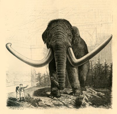 The Mammoth of St. Petersburg, 1883 by Unbekannt