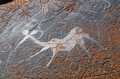 Twyfelfontein Rock Paintings, Damaraland, Namibia by Unbekannt