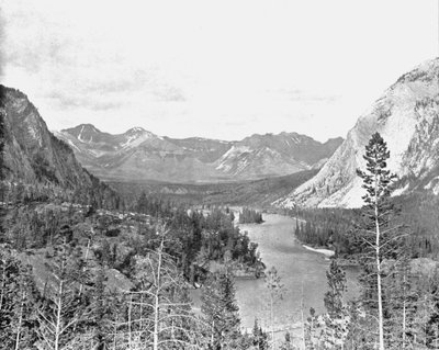 Valley of the Bow River, Alberta, Canada by Unbekannt