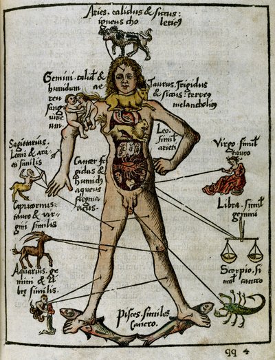 Cosmography 16th century: the zodiacal man by Unbekannt