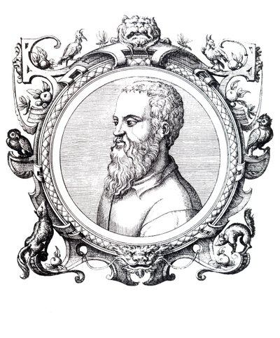 Guillaume Rondelet by Unbekannt