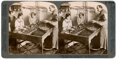 Manufacturing Silk, Syria by Underwood and Underwood