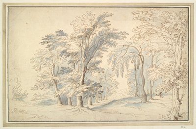 Woody Landscape by Unknown