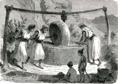 Olives Grinding Mill in Algeria 1885 by Unknown artist