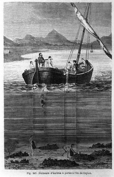 Pearl Fishers in Ceylon (Present-day Sri Lanka) by Unknown artist