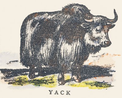 Y: Yak by Unknown artist