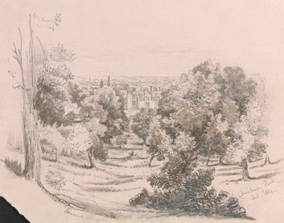 A View of Danbury Park by Unknown artist