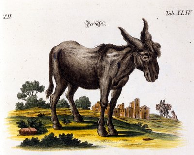 Ankey. 18th century representation by Unknown artist