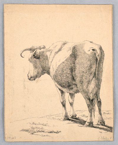 Cow by Unknown artist