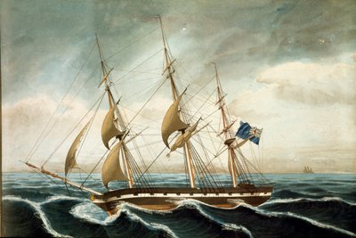 English Corvette by Unknown artist