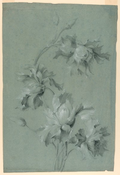 Floral Design by Unknown artist