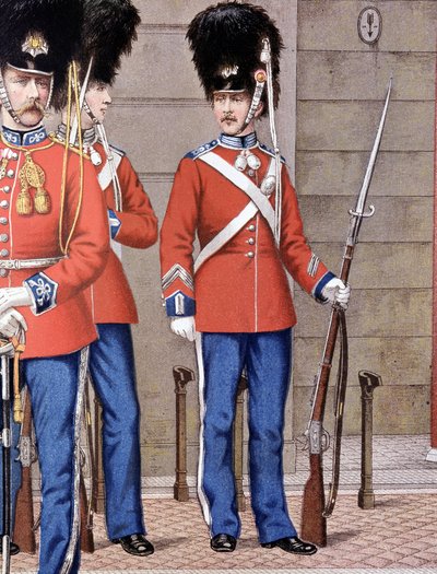 Grenadiers of the Danish Guard by Unknown artist