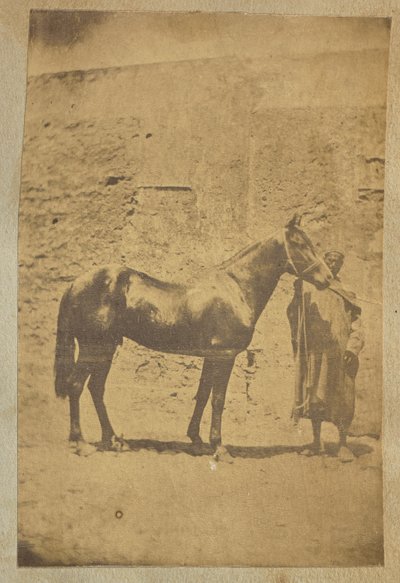 Horse by Unknown artist