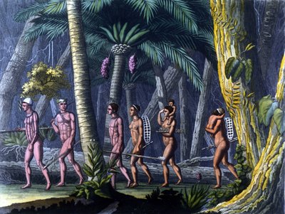 Puris Indians in the Forest by Unknown artist