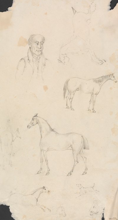 Man, Horses and Dogs by Unknown artist