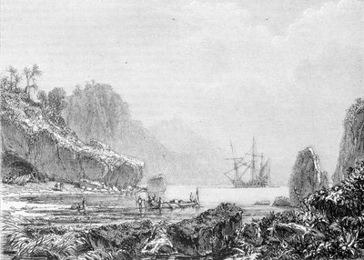 Representation of Turtle Island (engraving, 19th century) by Unknown artist