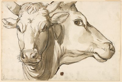 Study of a Cow by Unknown artist
