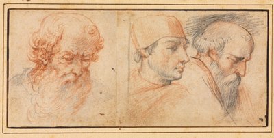 Three Head Studies by Unknown artist