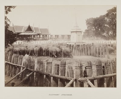 Photograph in photograph album by Unknown photographer