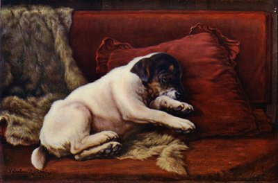 An Afternoon Snooze by Valentine Thomas Garland