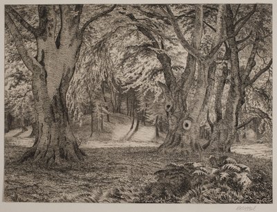 The Interior of a Forest by Vilhelm Kyhn