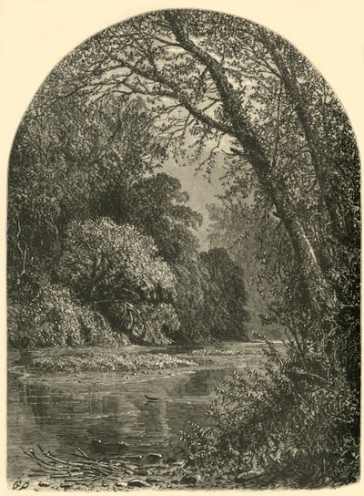 Moss Islands, in the Juniata, 1874 by W.H. Morse