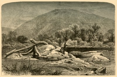 Mount Chesterfield, 1874 by W.H. Morse