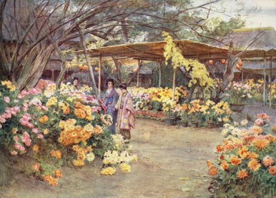 Viewing Chrysanthemums, Mukojima, Tokio by Walter Frederick Roofe Tyndale