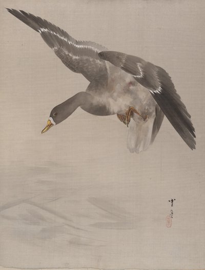 Duck, ca. 1887 by Watanabe Seitei