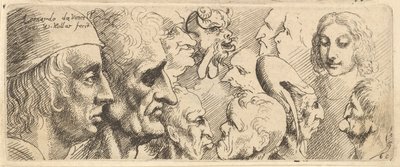 A Variety of Heads by Wenceslaus Hollar