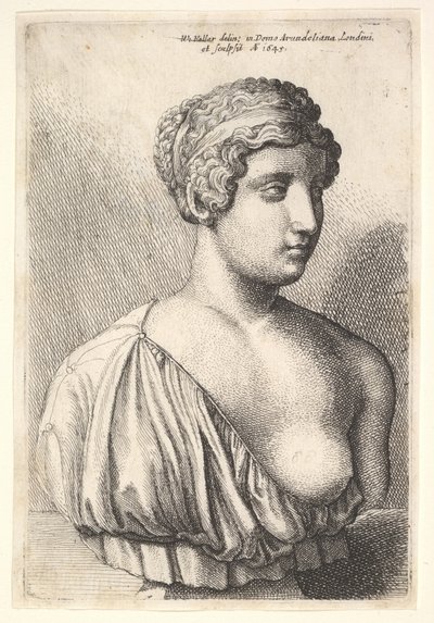 Antique bust of a woman by Wenceslaus Hollar