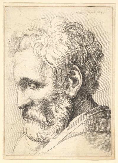 Bearded Old Man, 1645 by Wenceslaus Hollar