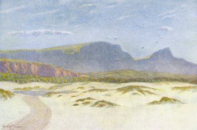 Sand Dunes by Wilhelm Westhofen