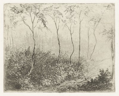 Forest Landscape by Willem Matthias Jan van Dielen