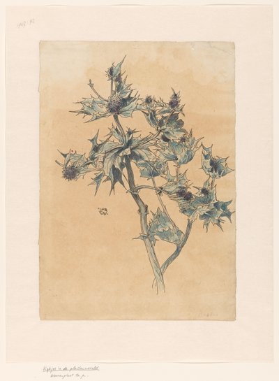 Thistles by Ludwig Willem Reymert Wenckebach