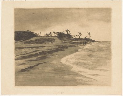 Coastline of the Zuiderzee in Valkeveen by Willem Arnoldus Witsen