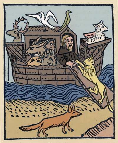Noah