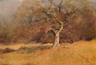 Winter Woods by William Eyre Walker