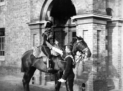 Officer of the 3rd Hussars by William Gregory