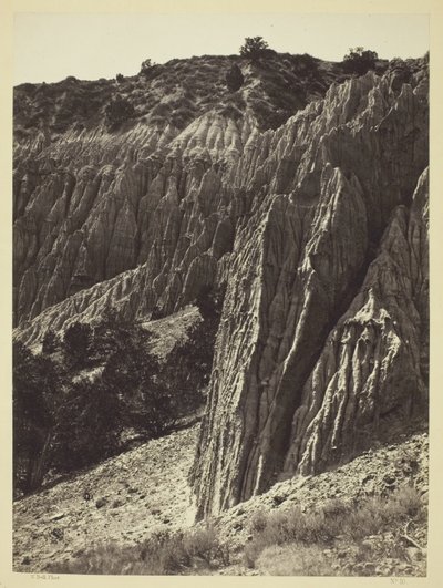 Rain Sculpture, Salt Creek Canyon, Utah by William H. Bell