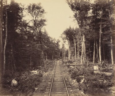 Ganoga Lake Branch by William H. Rau